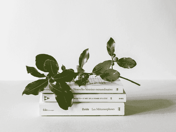 怎么买最安全的ddos网页端